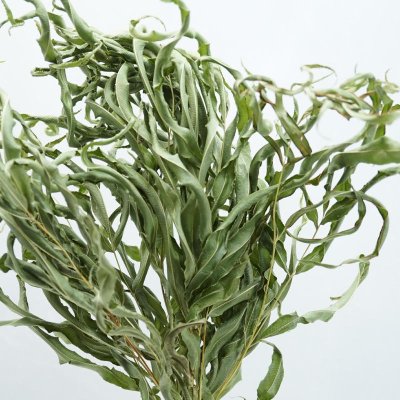 画像1: 【A】アシ