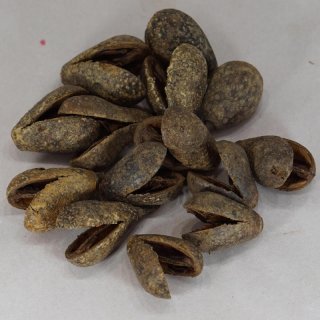 木の実詰め合わせ　No.380 DXZ-07 合体工具 – エンジニア公式オンラインストア