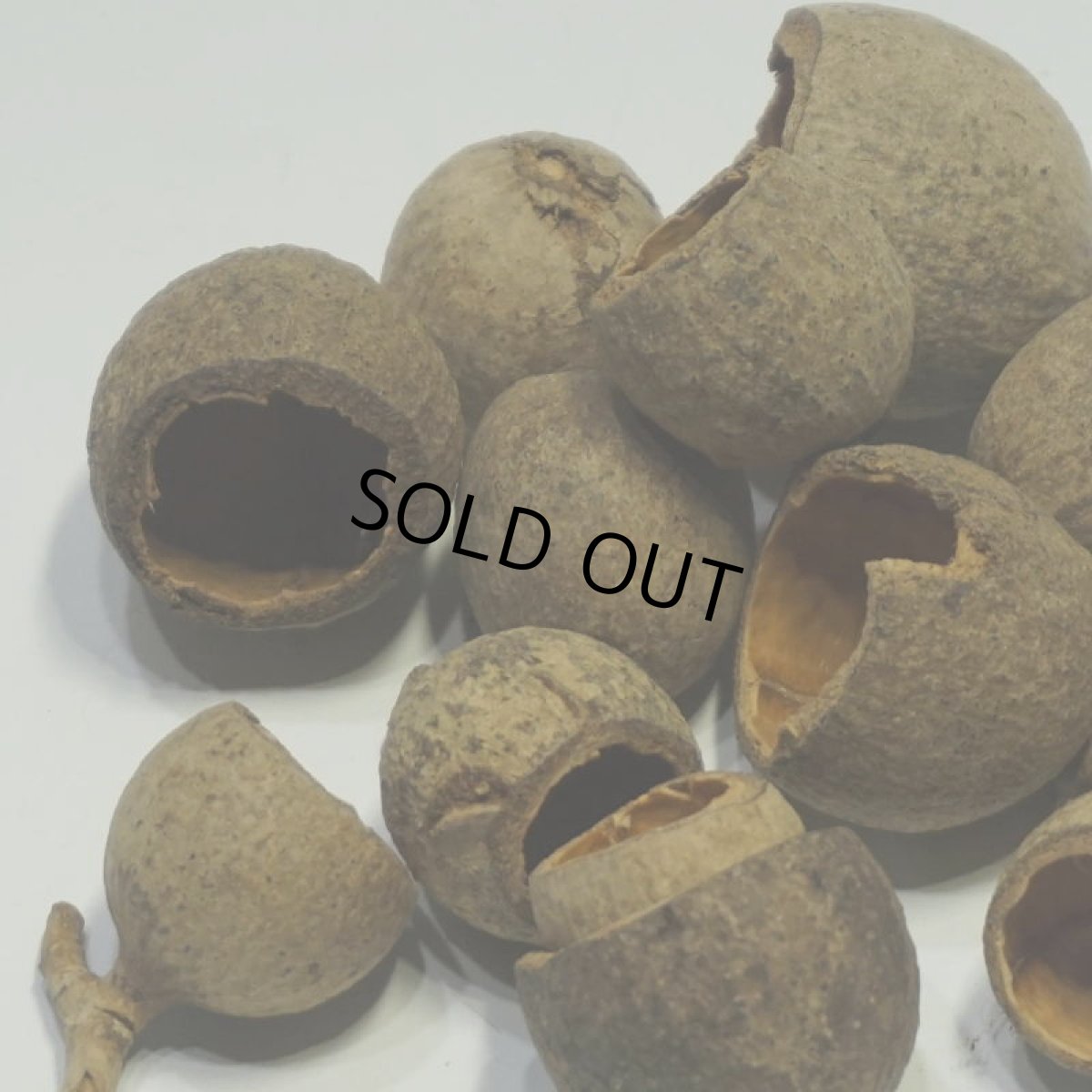 画像3: ポプリカップ (3)