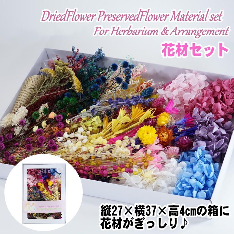 【A】ハーバリウム花材セット