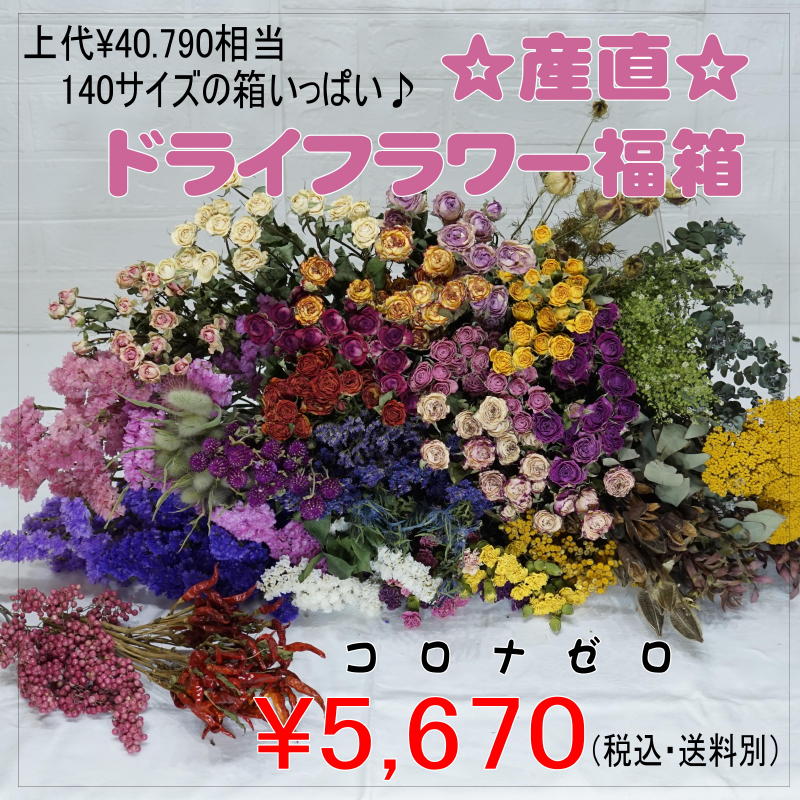 特別 コロナにまけるな ドライフラワー福箱 あいむフラワーインターナショナル 特別 コロナにまけるな ドライフラワー福箱 あいむフラワーインターナショナル